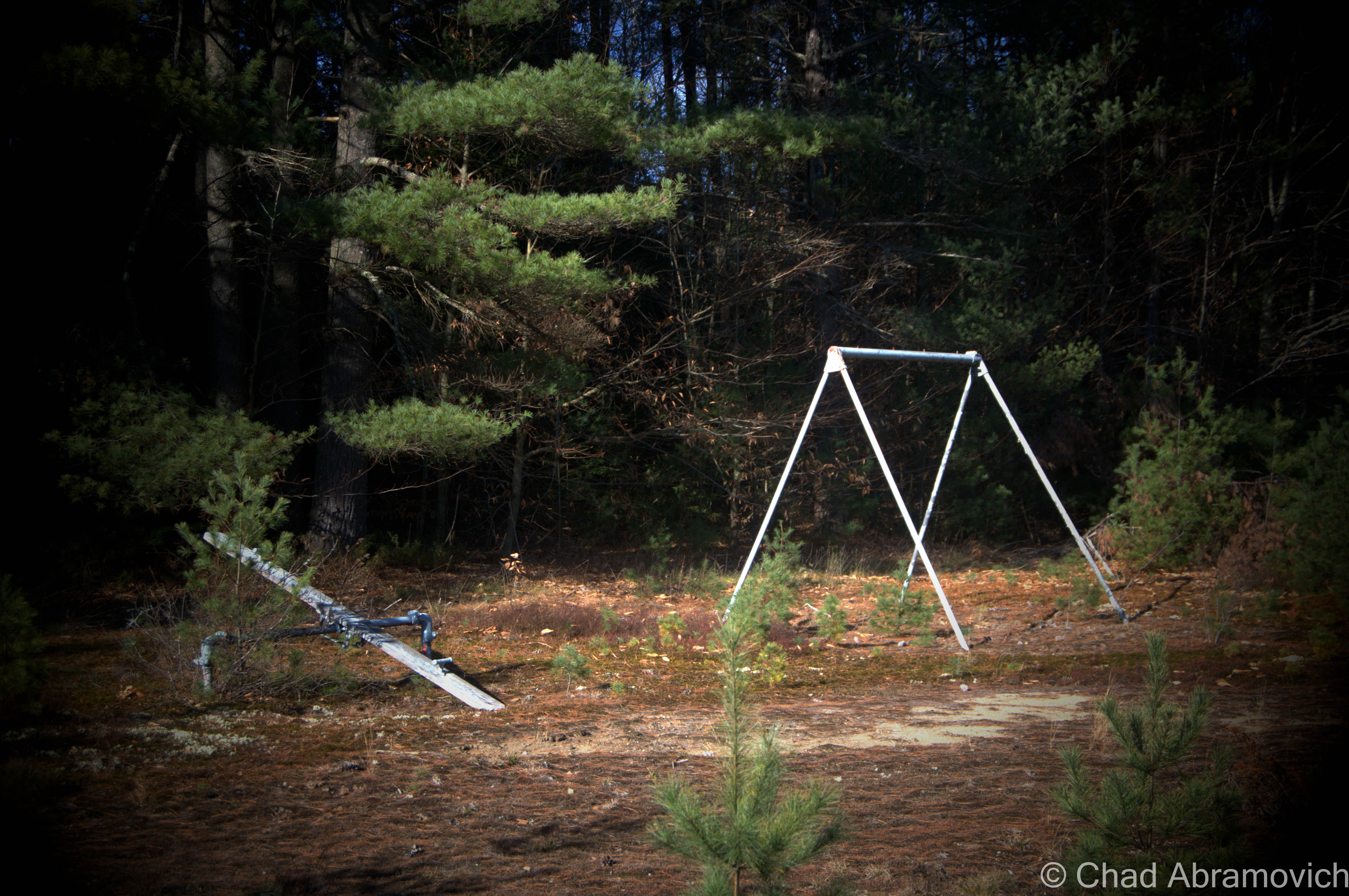 An abandoned playground weighed down by the desolation of the forest.