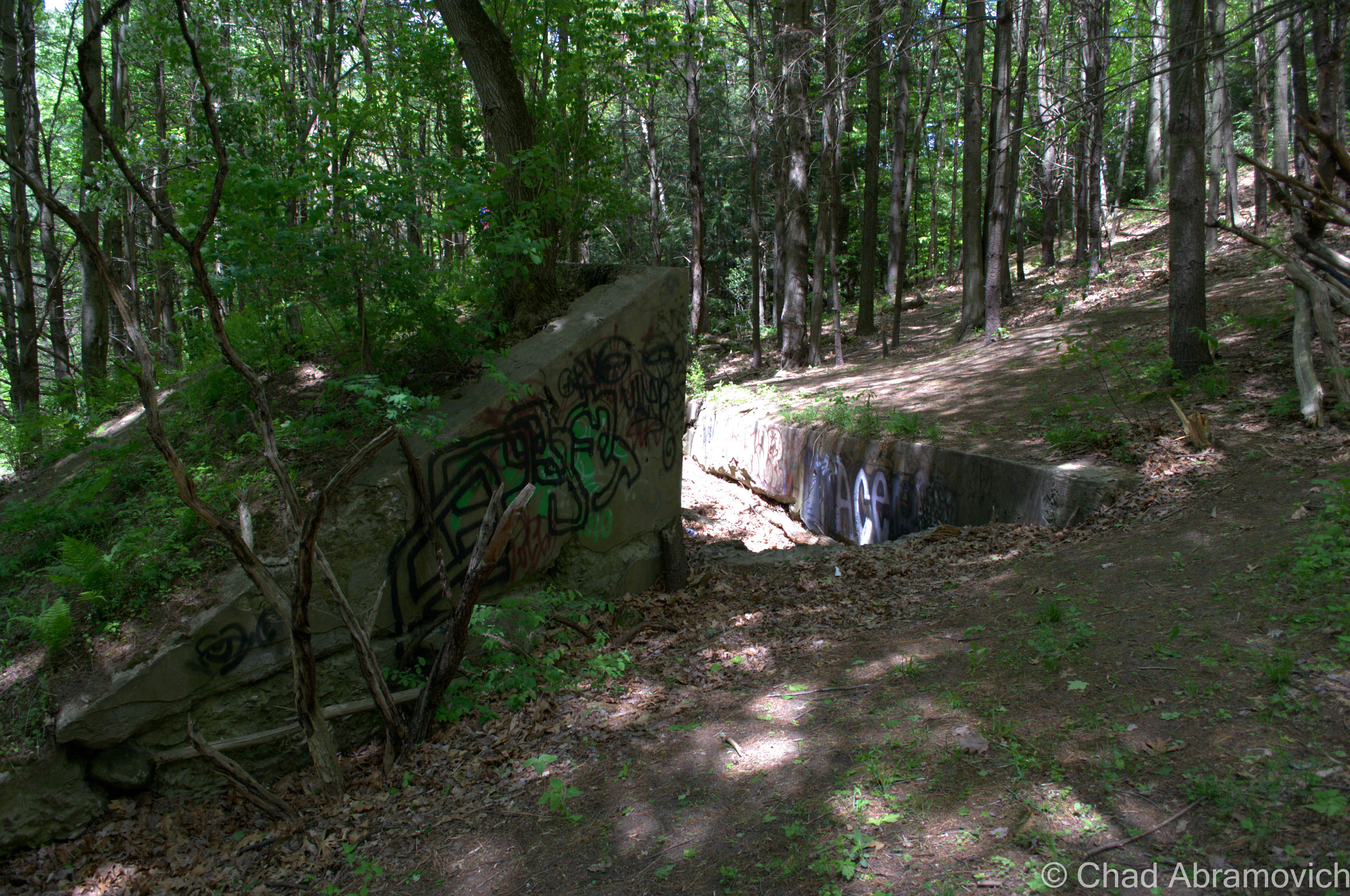 The “bunker” didn’t seem to extend back that far. Any indication of a former entrance had long faded away, lost to memory.