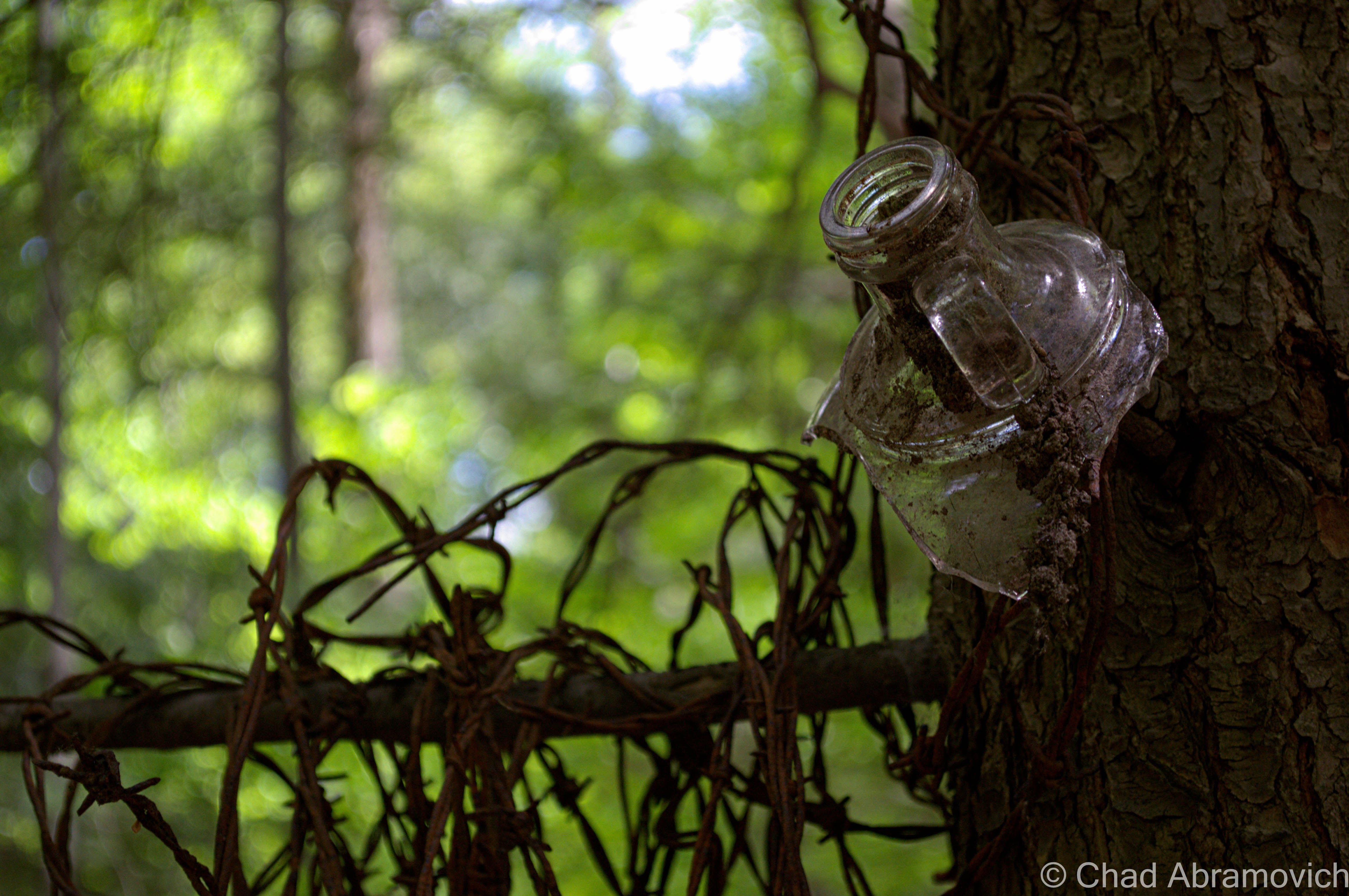 some rather interesting “trail art” – the tangled barbed wire quite possibly a vestige of the areas agricultural past, now acting as abstract art, or the victim of an act of boredom.