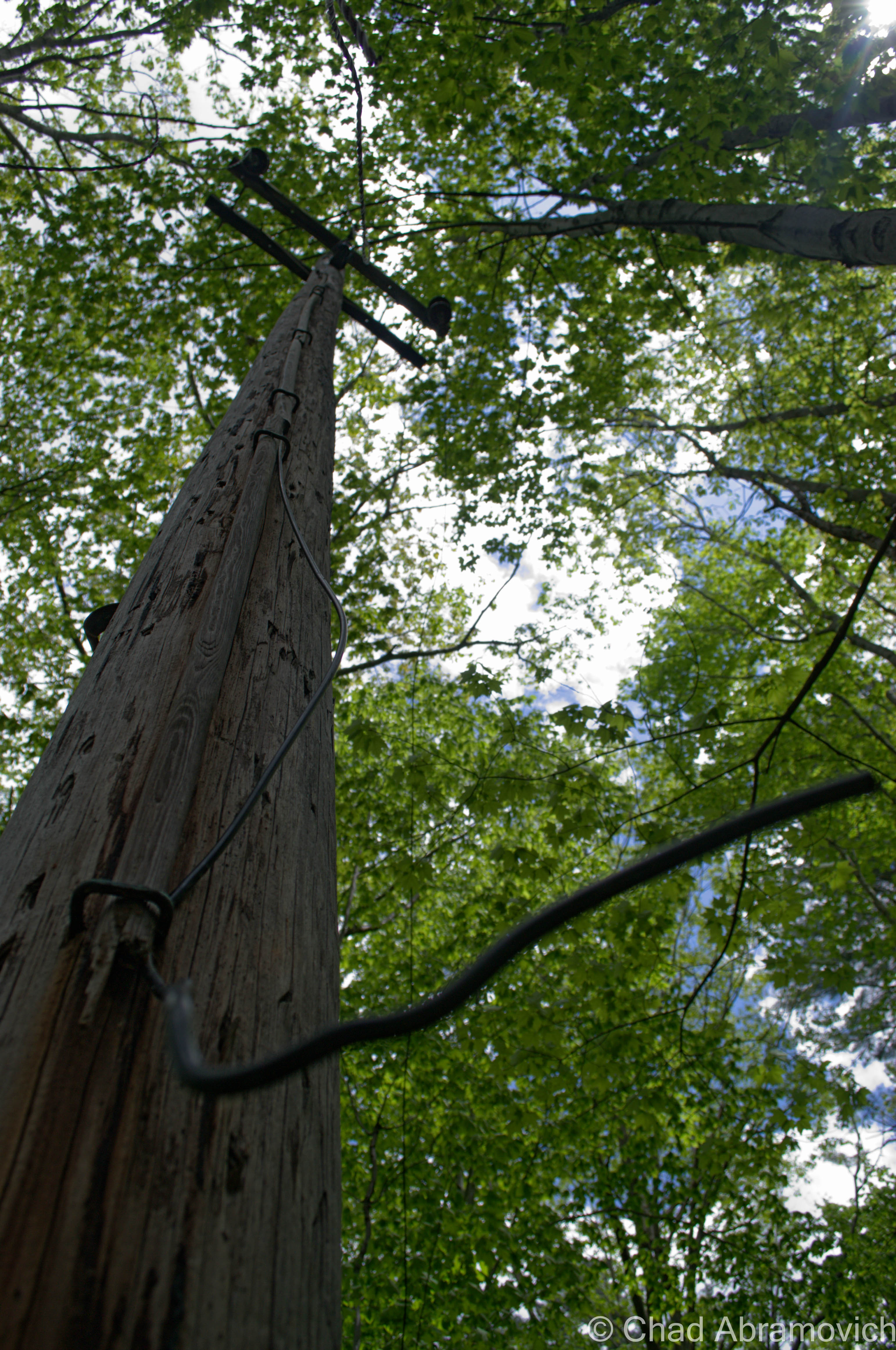 the former utility pole that powered the ski hill, now also abandoned and defunct.