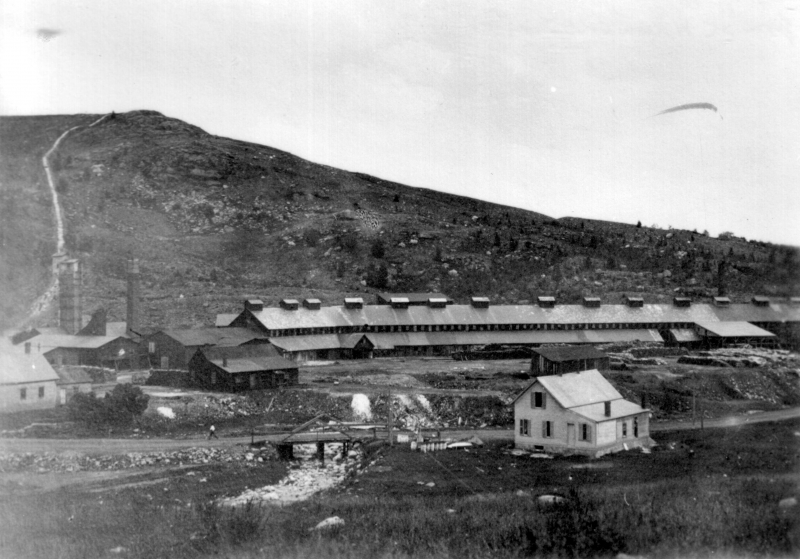 The ore was mined from adits that went deep into the mountains. It was roasted for 2-3 months in beds, giving off sulfur fumes, and was then taken to the smelters, huge furnaces lined with brick. A chimney flue ran up the side of the hill to take away the worst of the smelter emissions, but not far away. A contemporary description says that "the country around the village is ... completely destitute of vegetation....For some distance around, all vegetable growth is sparse and stunted. And pervading everything is a most beastly odor from the roasting beds." (To this day, a century after the mine was closed, nothing grows around the smelter site.)| UVM Landscape Change Program