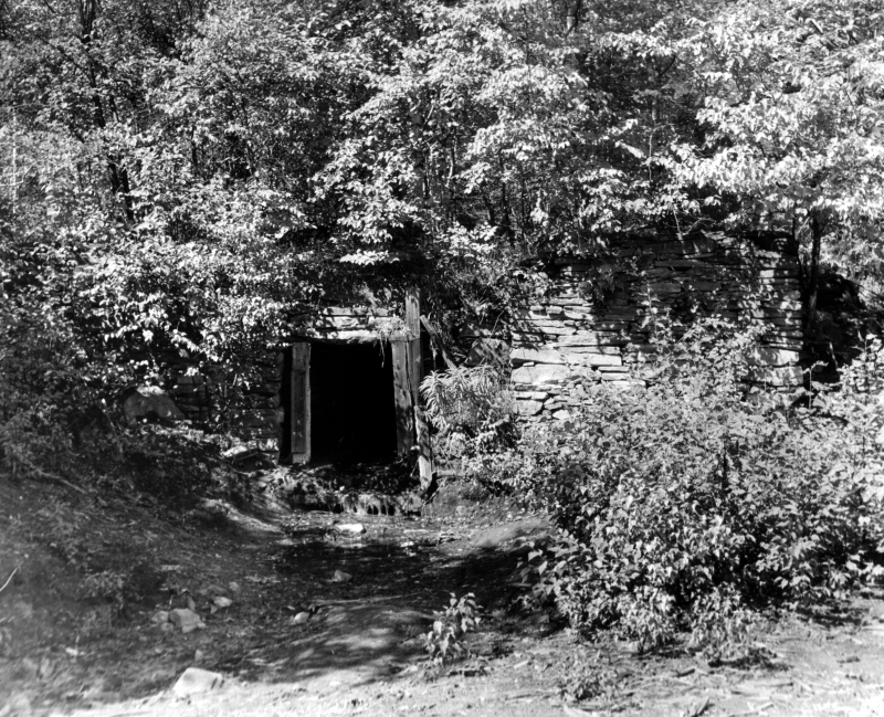 An abandoned entrance to one of the mines at Ely, summer 2006. | Collamer Abbott/UVM Landscape Change Program