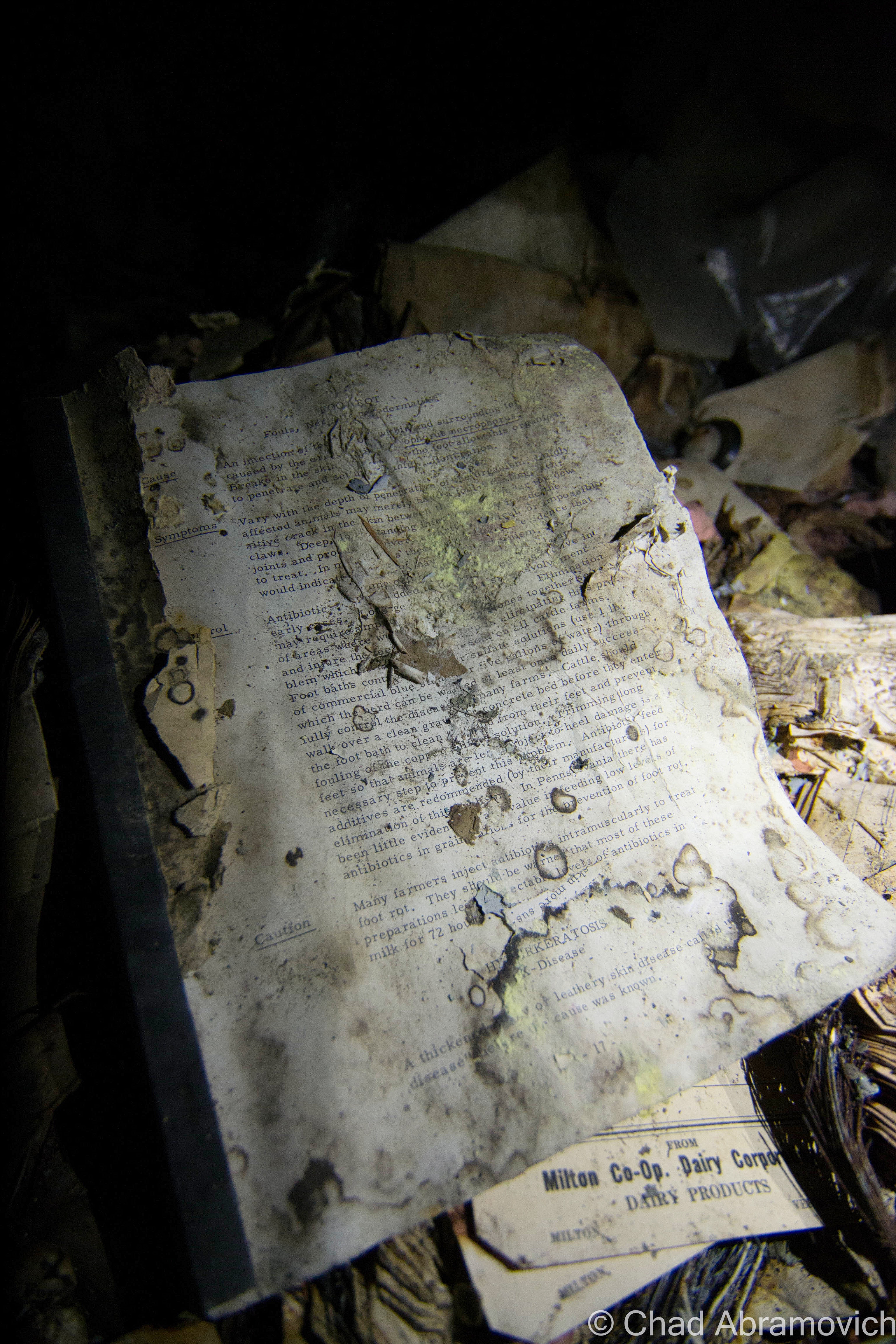 A little DIY reading was found in the dark and the damp of the basement area. It was a moldering manual on how to properly run a creamery. It's fragile pages pretty much covered how to properly clean and sterilize both the machines and the milk, and how to pasteurize it so people won't get sick. 